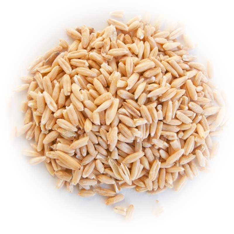 Oats meaning in hindi