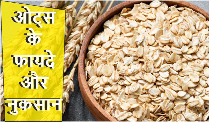 what-is-oats-in-hindi-and