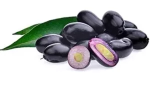 जामुन के पत्तों के फायदे Benefits of Jamun leaves 11 Read more about the article जामुन के पत्तों के फायदे Benefits of Jamun leaves