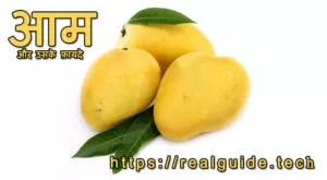 आम और उसके फ़ायदे | Mango fruit benefits in hindi 10 Read more about the article आम और उसके फ़ायदे | Mango fruit benefits in hindi