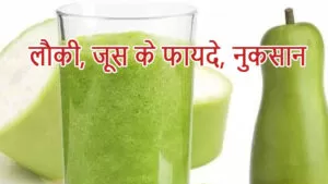 लौकी, जूस के फायदे, नुकसान | Lauki and juice benefits in hindi 7 Read more about the article लौकी, जूस के फायदे, नुकसान | Lauki and juice benefits in hindi