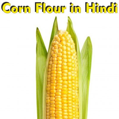 corn flour meaning in hindi
